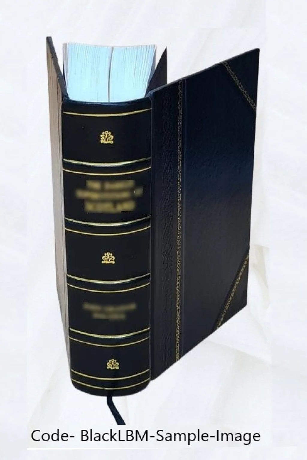 system of the law of marine insurances; with three chapters on bottomry; on insurances on lives; on insurances against fire. By Sir James Allan Park, knt Volume v. 2 1842 [Leather Bound]
