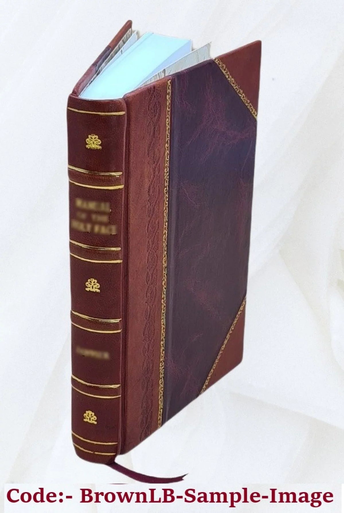 Orion, the gold beater; or, True hearts and false; a tale of New York life, by Sylvanus Cobb. 1888 [Leather Bound]