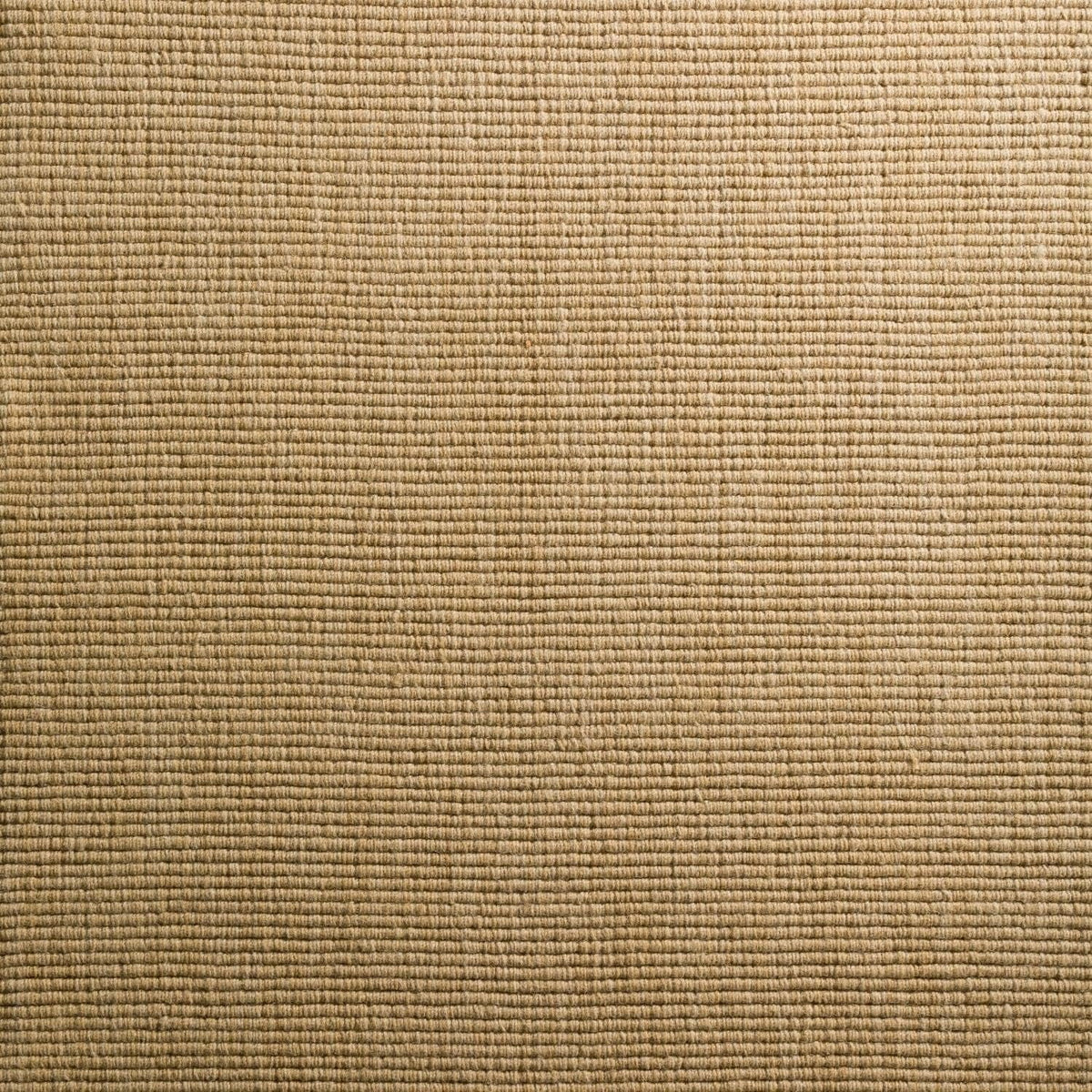 Daylon Sisal  2'' Rug