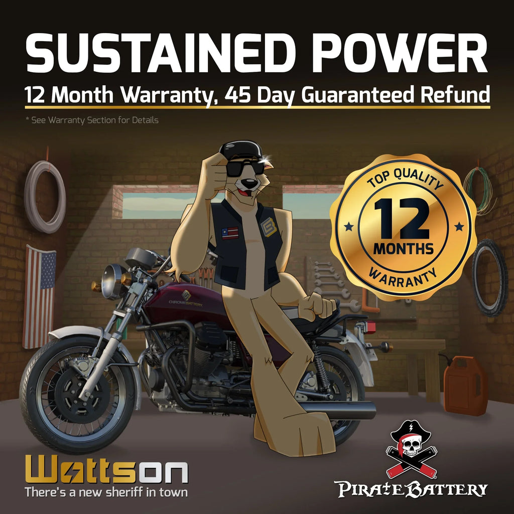 Pirate Battery - (14- 12 Volt,12 Ah, 200 ) Motorcycle Battery for Honda 1100cc Vt1100c, ,  Shadow (spirit, Aero, . . . Tourer) 2007