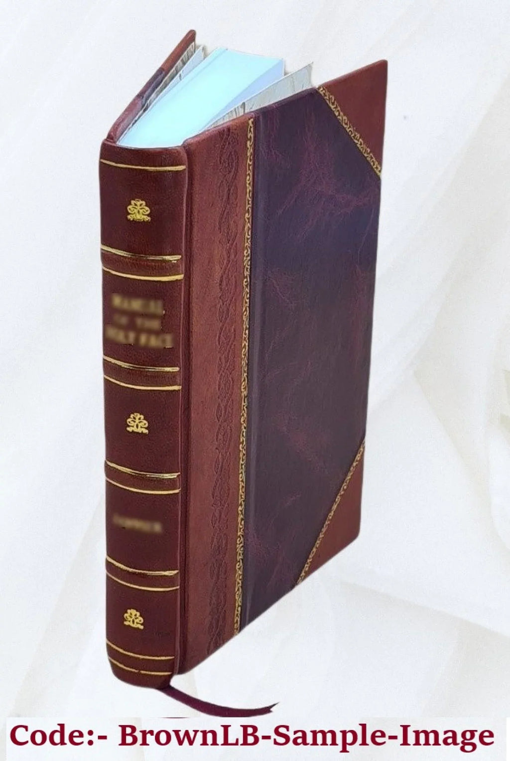 Diario de su residencia en Chile (1822) y su viaje al Brasil (1823): San Martin, Cochrane, 'Higgins; 1900 [Leather Bound]
