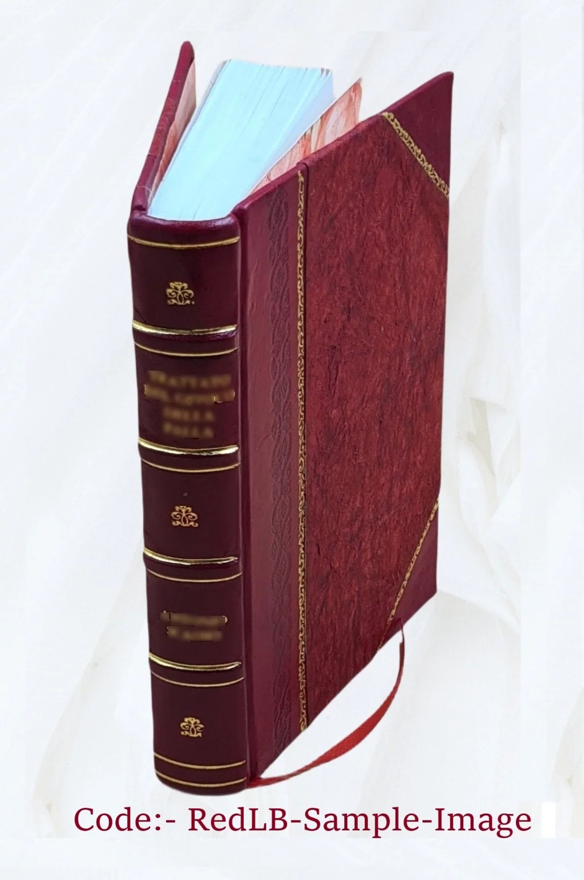 descriptive guide to  training materials / developed by Trudy . Hamby and Leroy Jones ; Catherine Kernen, editor ; . Gene Wall, graphic artist. Volume v.1 1977 [Leather Boun