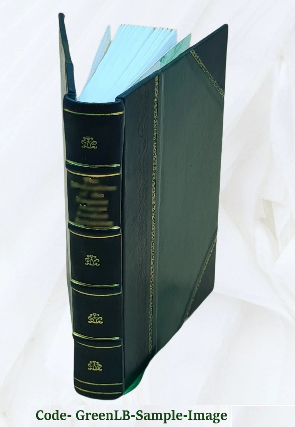 '- Sub-Saharan French  - Student Text [Leather Bound]